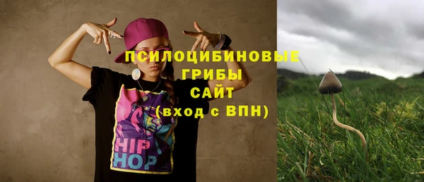 PSILOCYBIN Лиски