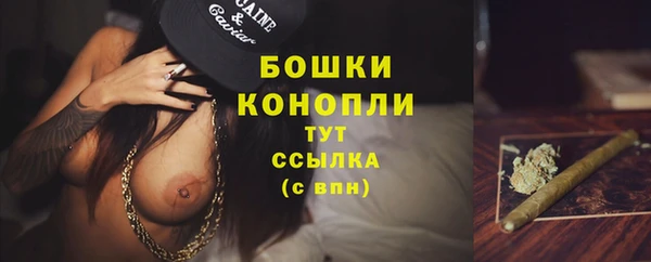 spice Ладушкин