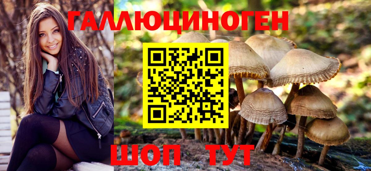 Галлюциногенные грибы прущие грибы Комсомольск-на-Амуре