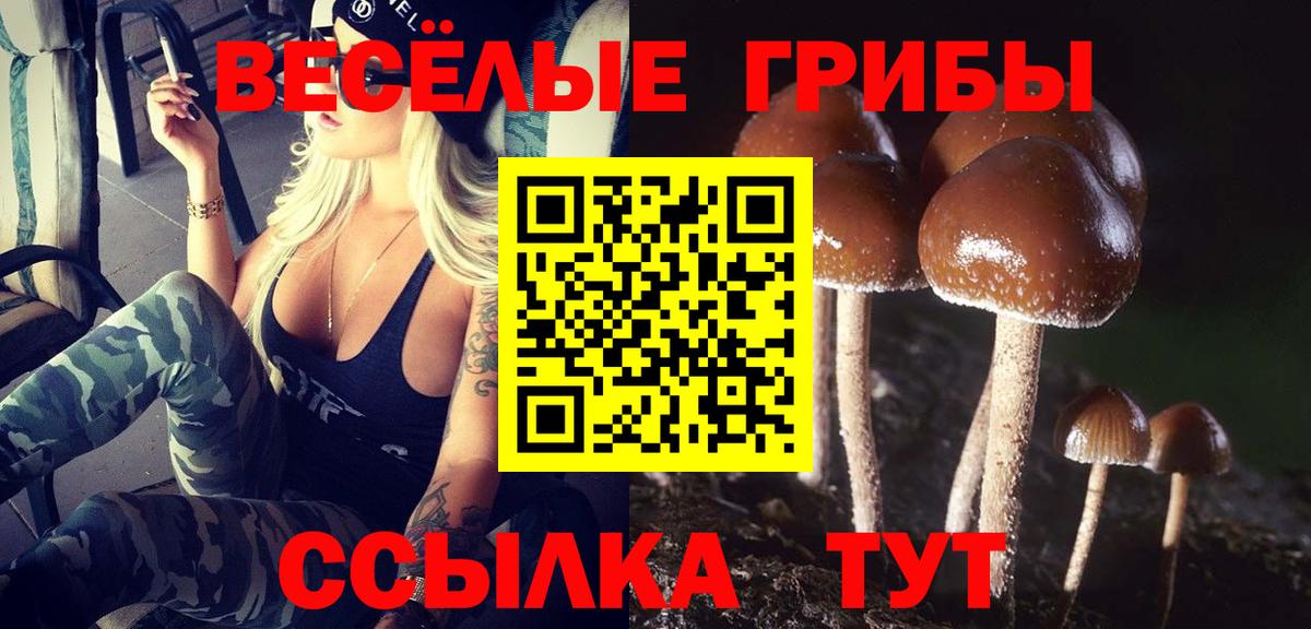 Псилоцибиновые грибы Psilocybe  Галлюциногенные грибы MAGIC MUSHROOMS  Вход с VPN  Комсомольск-на-Амуре 